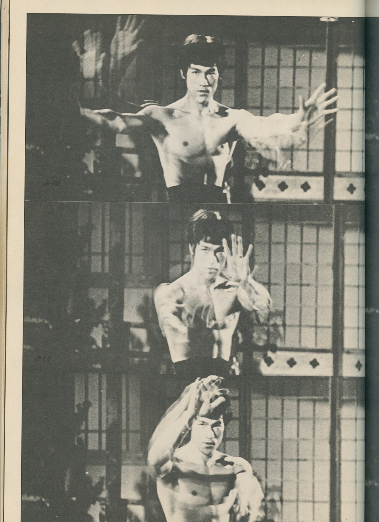 Bruce Lee Permanent Japanese Magazine 1979